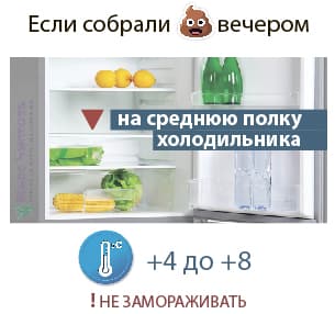 How much to store feces in the refrigerator