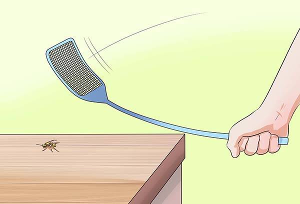 Utrotning av getingar av en swatter