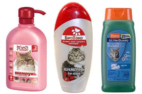 Veterinary Shampoos