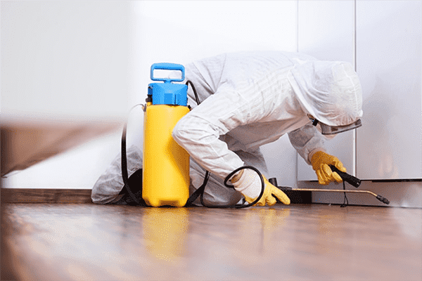 Desinfectador processa l’apartament des de les paneroles