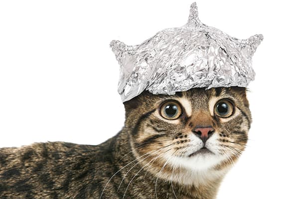 Gato con sombrero de aluminio