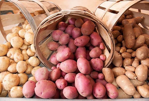 High-quality potatoes