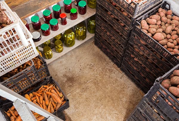 Storage of vegetables in the cellar